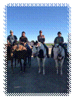 A group of people riding horses

Description automatically generated