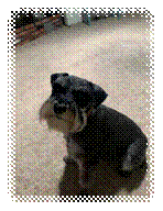 A dog sitting on the floor

Description automatically generated with medium confidence