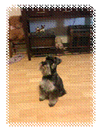 A dog sitting on the floor

Description automatically generated with medium confidence