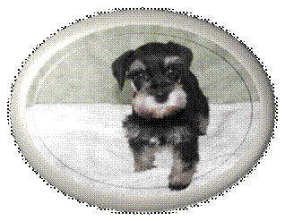 image003.png